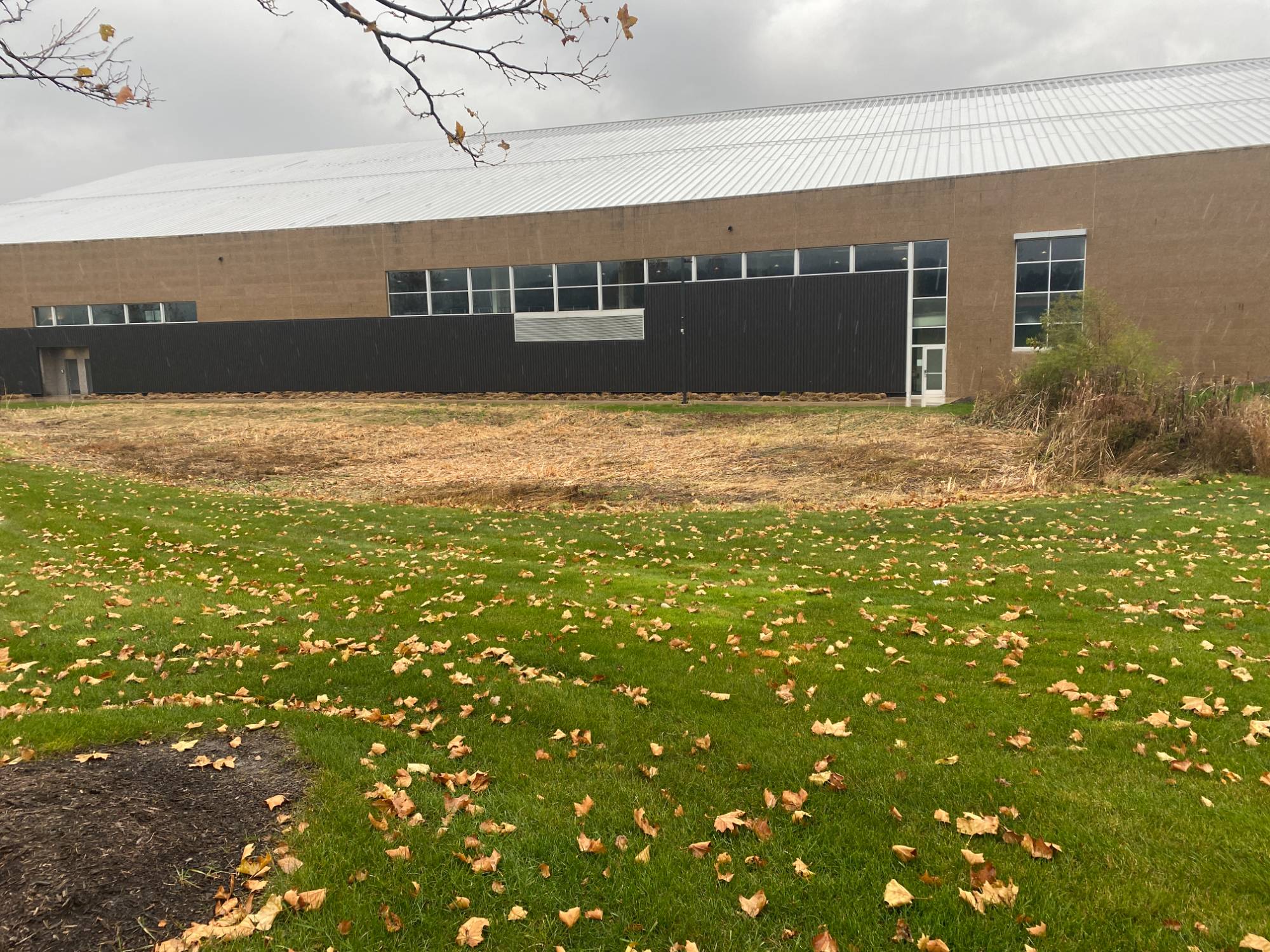 Rain Garden outside of the Kelly Facilities